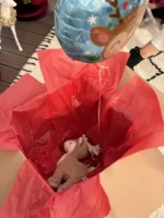 Prezent Świąteczny z życzeniami | Prezent od Mikołaja | Box + Mały balon świąteczny - obrazek 5
